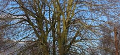 Cherry picker hire with operator 